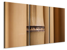 Laden Sie das Bild in den Galerie-Viewer, Leinwandbild 3-teilig Bambus Close up