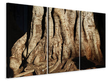 Laden Sie das Bild in den Galerie-Viewer, Leinwandbild 3-teilig Baum Close Up