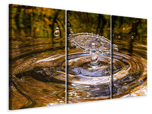 Laden Sie das Bild in den Galerie-Viewer, Leinwandbild 3-teilig Blubb