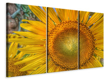 Laden Sie das Bild in den Galerie-Viewer, Leinwandbild 3-teilig Blütenstand einer Sonnenblume