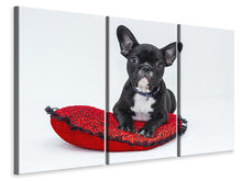 Laden Sie das Bild in den Galerie-Viewer, Leinwandbild 3-teilig Bulldogge zum Verlieben