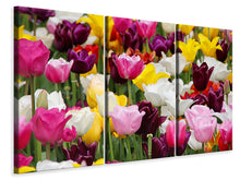 Laden Sie das Bild in den Galerie-Viewer, Leinwandbild 3-teilig Buntes Tulpenfeld