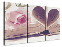 Laden Sie das Bild in den Galerie-Viewer, Leinwandbild 3-teilig Das Buch der Liebe