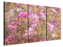Laden Sie das Bild in den Galerie-Viewer, Leinwandbild 3-teilig Das Schmuckkörbchen Cosmea