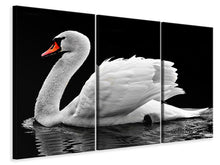 Laden Sie das Bild in den Galerie-Viewer, Leinwandbild 3-teilig Der anmutige Schwan