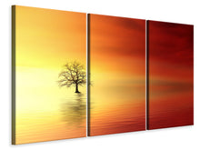 Laden Sie das Bild in den Galerie-Viewer, Leinwandbild 3-teilig Der Baum im Wasser