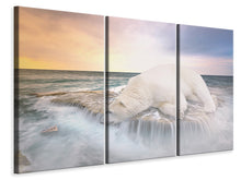 Laden Sie das Bild in den Galerie-Viewer, Leinwandbild 3-teilig Der Eisbär und das Meer
