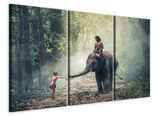 Laden Sie das Bild in den Galerie-Viewer, Leinwandbild 3-teilig Der Elefant bei der Arbeit
