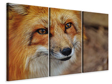 Laden Sie das Bild in den Galerie-Viewer, Leinwandbild 3-teilig Der Fuchs