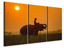 Laden Sie das Bild in den Galerie-Viewer, Leinwandbild 3-teilig Der heilige Elefant