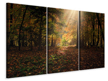 Laden Sie das Bild in den Galerie-Viewer, Leinwandbild 3-teilig Der Laubwald