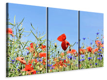 Laden Sie das Bild in den Galerie-Viewer, Leinwandbild 3-teilig Der Mohn in der Blumenwiese