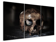 Laden Sie das Bild in den Galerie-Viewer, Leinwandbild 3-teilig Der Schädel