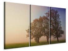 Laden Sie das Bild in den Galerie-Viewer, Leinwandbild 3-teilig Der schiefe Baum