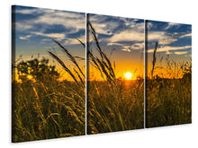 Laden Sie das Bild in den Galerie-Viewer, Leinwandbild 3-teilig Der Sonnenuntergang auf dem Feld