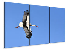 Laden Sie das Bild in den Galerie-Viewer, Leinwandbild 3-teilig Der Storch in Aktion