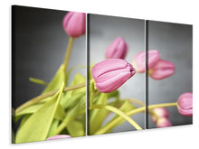 Laden Sie das Bild in den Galerie-Viewer, Leinwandbild 3-teilig Der Tulpenstrauss in rosa