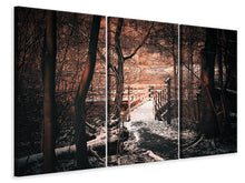 Laden Sie das Bild in den Galerie-Viewer, Leinwandbild 3-teilig Der Winter kommt