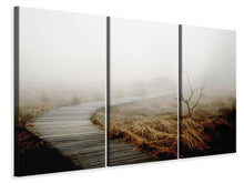 Laden Sie das Bild in den Galerie-Viewer, Leinwandbild 3-teilig Dichter Nebel