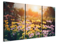 Laden Sie das Bild in den Galerie-Viewer, Leinwandbild 3-teilig Die Blümchen