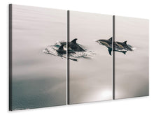Laden Sie das Bild in den Galerie-Viewer, Leinwandbild 3-teilig Die Delfine