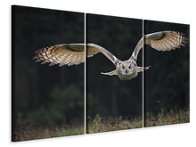 Laden Sie das Bild in den Galerie-Viewer, Leinwandbild 3-teilig Die Eule
