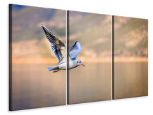 Laden Sie das Bild in den Galerie-Viewer, Leinwandbild 3-teilig Die fliegende Möwe