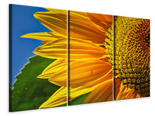 Laden Sie das Bild in den Galerie-Viewer, Leinwandbild 3-teilig Die Knospe Close up