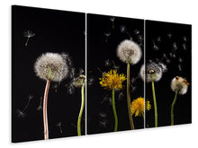 Laden Sie das Bild in den Galerie-Viewer, Leinwandbild 3-teilig Die Phasen des Löwenzahns
