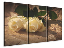 Laden Sie das Bild in den Galerie-Viewer, Leinwandbild 3-teilig Die Reinheit der Rosen