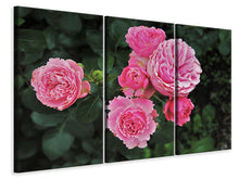 Laden Sie das Bild in den Galerie-Viewer, Leinwandbild 3-teilig Die wilden Rosen in pink