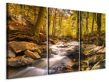 Laden Sie das Bild in den Galerie-Viewer, Leinwandbild 3-teilig Echte Natur Schönheit