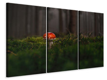 Laden Sie das Bild in den Galerie-Viewer, Leinwandbild 3-teilig Ein Pilz im Wald
