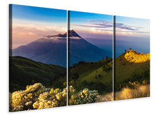 Laden Sie das Bild in den Galerie-Viewer, Leinwandbild 3-teilig Ein Sommer in den Bergen