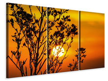 Laden Sie das Bild in den Galerie-Viewer, Leinwandbild 3-teilig Ein Strauch im Sonnenuntergang