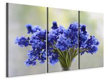 Laden Sie das Bild in den Galerie-Viewer, Leinwandbild 3-teilig Ein Strauss Blumen