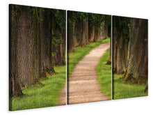 Laden Sie das Bild in den Galerie-Viewer, Leinwandbild 3-teilig Ein Weg im Wald
