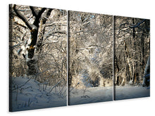 Laden Sie das Bild in den Galerie-Viewer, Leinwandbild 3-teilig Ein Winter Traum