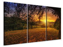 Laden Sie das Bild in den Galerie-Viewer, Leinwandbild 3-teilig Eine Landschaft im Sonnenuntergang
