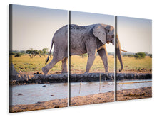 Laden Sie das Bild in den Galerie-Viewer, Leinwandbild 3-teilig Elefant in der Natur