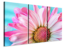 Laden Sie das Bild in den Galerie-Viewer, Leinwandbild 3-teilig Farbige Blume