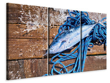 Laden Sie das Bild in den Galerie-Viewer, Leinwandbild 3-teilig Frisch gefangener Fisch