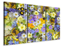 Laden Sie das Bild in den Galerie-Viewer, Leinwandbild 3-teilig Frische Frühlingsblumen