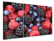 Leinwandbild 3-teilig Fruchtige Beeren