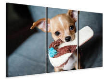 Laden Sie das Bild in den Galerie-Viewer, Leinwandbild 3-teilig Gehorsamer Chihuahua