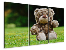 Laden Sie das Bild in den Galerie-Viewer, Leinwandbild 3-teilig Happy Teddybär
