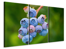 Laden Sie das Bild in den Galerie-Viewer, Leinwandbild 3-teilig Heidelbeeren in der Natur