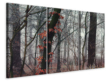 Laden Sie das Bild in den Galerie-Viewer, Leinwandbild 3-teilig Herbst Winter