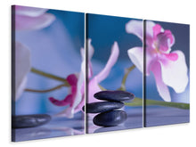 Laden Sie das Bild in den Galerie-Viewer, Leinwandbild 3-teilig Hot Stones