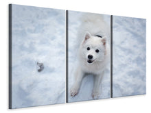 Laden Sie das Bild in den Galerie-Viewer, Leinwandbild 3-teilig Hunde Freude im Schnee